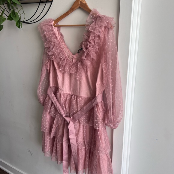 Polka Dot Plus Size Dress. Plus size Pink Dress - Picture 3 of 4